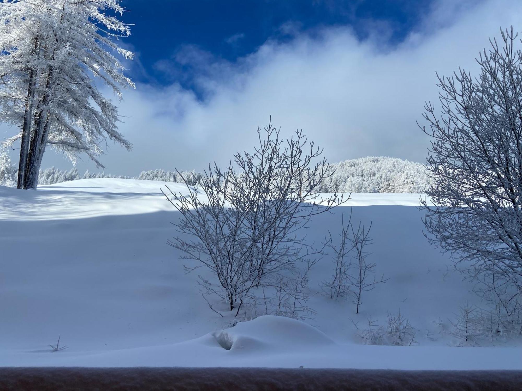 Pied Des Pistes, 2 Pieces, 6Pers, Piscine Et Sauna Risoul Εξωτερικό φωτογραφία